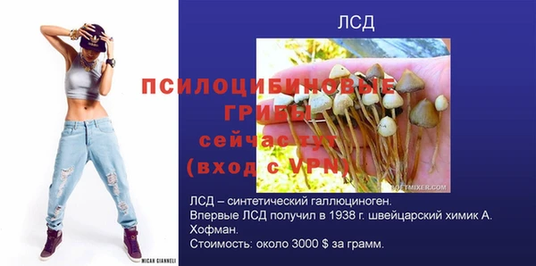 винт Алексеевка