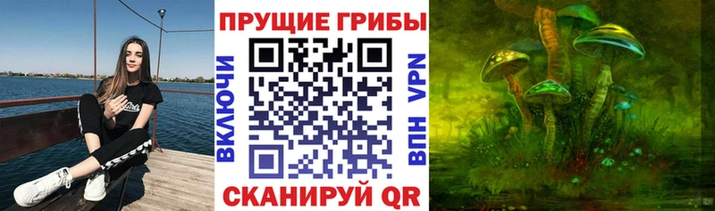 Псилоцибиновые грибы ЛСД  ссылка на мегу как зайти  Бакал 